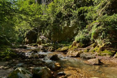 Bir dağ nehri ile vahşi bir vadiyi keşfeden üç aktif kadından oluşan bir grup