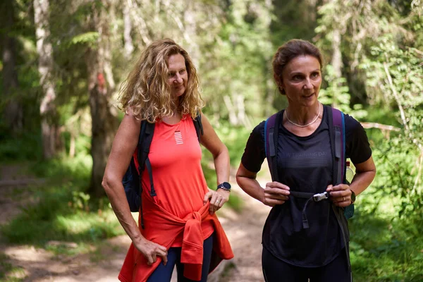 Two Women Backpacks Hiking Forests — Stock Photo, Image