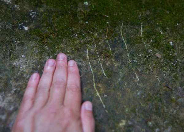 Man of a hand near the claw marks of a grizzly bear on a rock