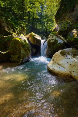 Dağ nehrinin canlı manzarası kocaman yosunlu kayalar ve ormanlarla dolu bir kanyondan geçiyor.