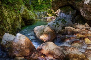 Dağ nehrinin canlı manzarası kocaman yosunlu kayalar ve ormanlarla dolu bir kanyondan geçiyor.