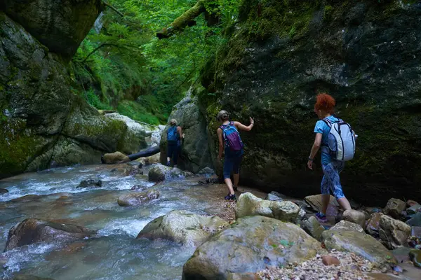 Vrouwen Wandelaars Met Rugzakken Verkennen Een Weelderige Canyon Een Rivier — Stockfoto