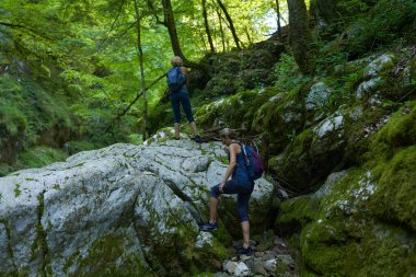 Sırt çantalı kadın yürüyüşçüler yemyeşil bir kanyonu ve nehri keşfediyorlar.