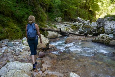 Sırt çantalı bir kadın gezgin, içinde nehir olan yemyeşil bir kanyonu keşfediyor.