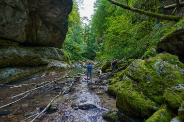 Sırt çantalı kadın yürüyüşçüler yemyeşil bir kanyonu ve nehri keşfediyorlar.