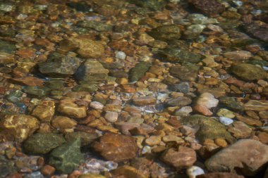 Nehrin dibindeki renkli çakıl taşları, suyun içinden görülüyor.