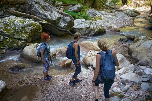Women Hikers Backpacks Exploring Lush Canyon River — Stock Photo, Image