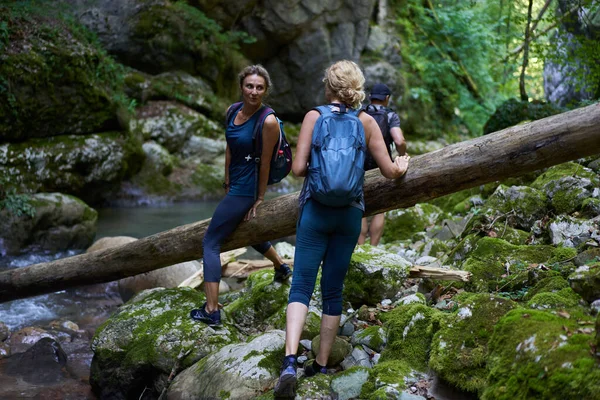 Vrouwen Wandelaars Met Rugzakken Verkennen Een Weelderige Canyon Een Rivier Stockafbeelding