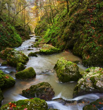 Nehir ve bereketli sonbahar ormanı olan bir kanyonun canlı manzarası.