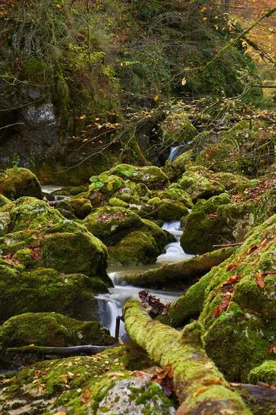 Vibrerande Landskap Ravin Med Flod Och Frodig Färgglad Höstskog — Stockfoto