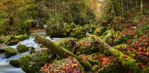 河流绵延的峡谷 五彩缤纷的秋天森林 景色绚丽多彩 — 图库照片