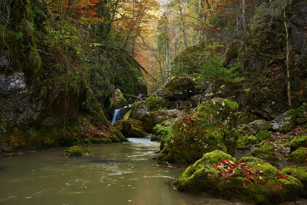 Paisaje Vibrante Cañón Con Río Exuberante Bosque Otoño Colorido — Foto de Stock