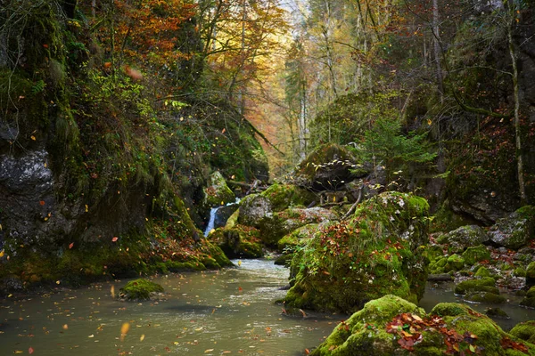 Paisaje Vibrante Cañón Con Río Exuberante Bosque Otoño Colorido —  Fotos de Stock