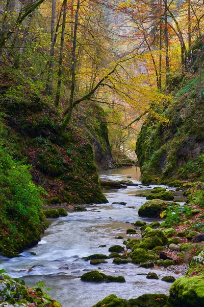 Lebendige Landschaft Einer Schlucht Mit Einem Fluss Und Üppigem Farbenfrohen — Stockfoto