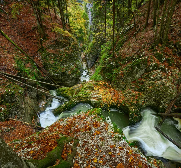 Paysage Animé Canyon Avec Une Rivière Une Forêt Automne Luxuriante — Photo