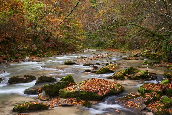 Paysage Animé Une Rivière Dans Forêt Pendant Automne Coloré — Photo
