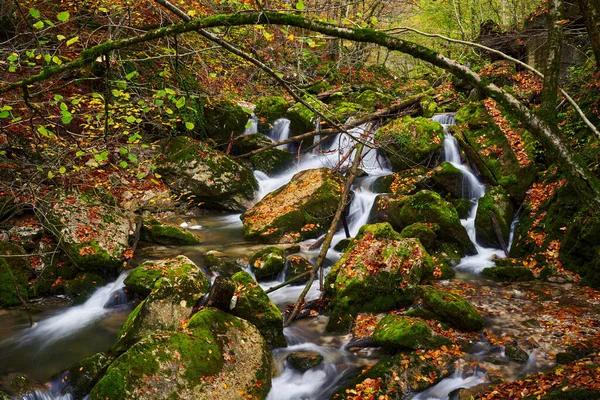 Paisaje Vibrante Río Bosque Durante Otoño Colorido — Foto de Stock