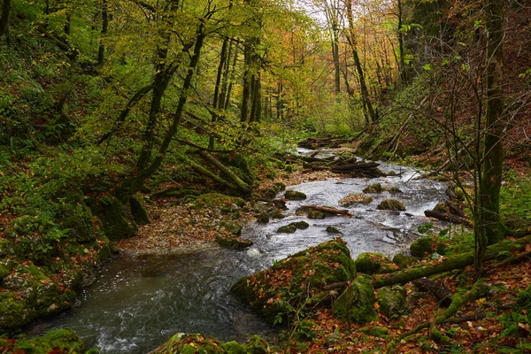 Vibrerande Landskap Flod Skogen Färgglada Hösten Tid — Stockfoto