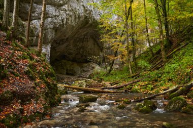 İçinden bir nehrin aktığı geniş bir mağara girişinin canlı sonbahar manzarası.