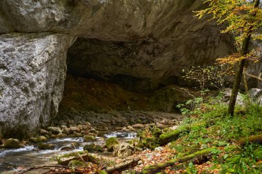 İçinden bir nehrin aktığı geniş bir mağara girişinin canlı sonbahar manzarası.