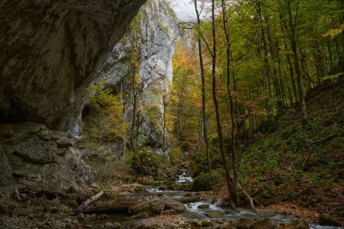 İçinden bir nehrin aktığı geniş bir mağara girişinin canlı sonbahar manzarası.