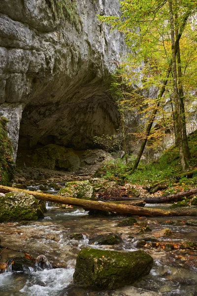 Vibrant Autumnal Landscape Large Cave Entrance River Flowing — Stock Photo, Image
