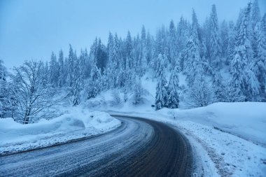 Dağdaki çam ormanlarının karla kaplı olduğu kış manzarası