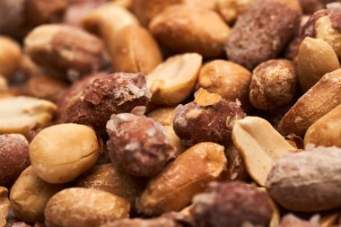 Kırmızı derili fırında tuzlu fıstık, yakın çekim stüdyo çekimi.