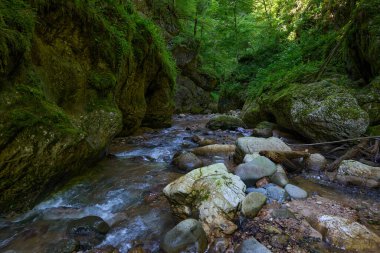 Kireçtaşı dağlarında bir nehri olan kanyon, pitoresk yürüyüş yeri.