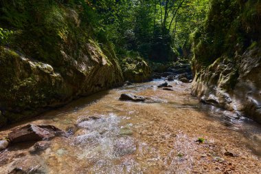 Kireçtaşı dağlarında bir nehri olan kanyon, pitoresk yürüyüş yeri.