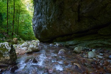 Kireçtaşı dağlarında bir nehri olan kanyon, pitoresk yürüyüş yeri.