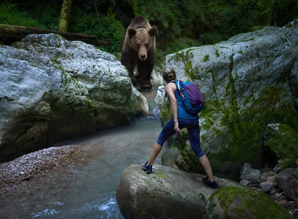 Unexpected Encounter Woman Hiker Grizzly Bear River Crossing Canyon Mixed — Stock Photo, Image