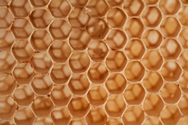 Bal tarağının kapanışı, içinde bal ya da arılar olmadan boş, arkaplan, doku ya da illüstrasyon olarak kullanışlı