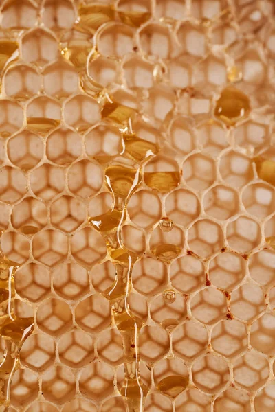 Closeup Honey Comb Empty Bees Honey Useful Background Texture Illustrative — Stock Photo, Image