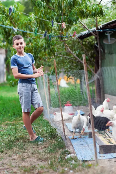 Full Length Portrait Child Feeding Chickens Countryside — Stock Photo, Image
