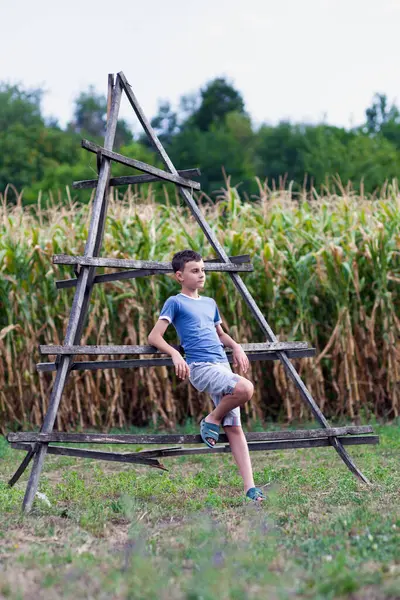 Šťastné Dítě Opírající Stohy Sena Blízkosti Kukuřičného Pole — Stock fotografie