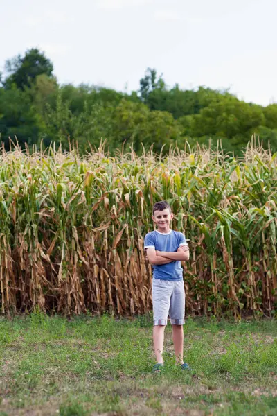 Portrait Happy Boy Standing Corn Field — Stock Photo, Image