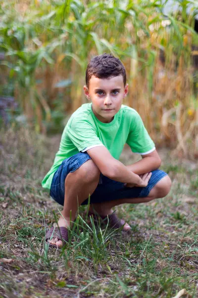 Portrait Child Corn Field — Stock Photo, Image