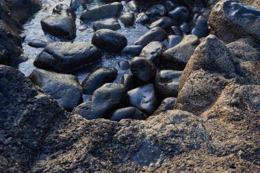 Dalgalar Tenerife 'nin volkanik kayalık sahillerine çarpıyor. 