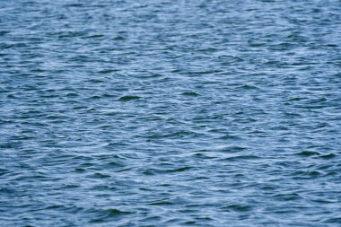 Baharda güneşli bir günde gölde dalgalar