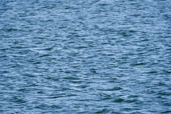 Хвилі Озері Сонячний День Навесні Стокове Фото