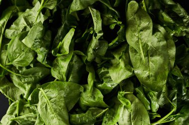 Bahçeden yeni toplanmış ıspanak yığını.