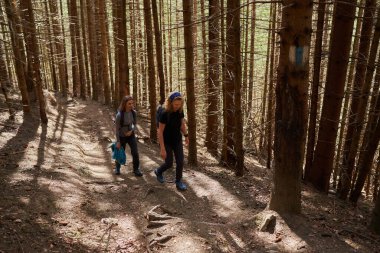 Sırt çantalı kadın yürüyüşçüler ormanda dağ yürüyüşü yapıyorlar.