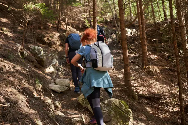 Vrouwelijke Wandelaars Met Rugzakken Als Vrienden Wandelen Bergen Door Het — Stockfoto
