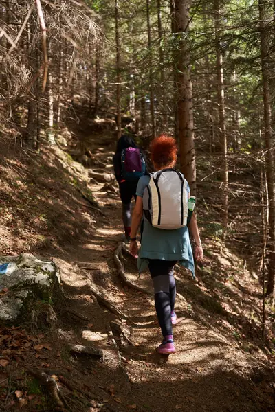 Female Hikers Backpacks Friends Hiking Mountains Forest — Zdjęcie stockowe