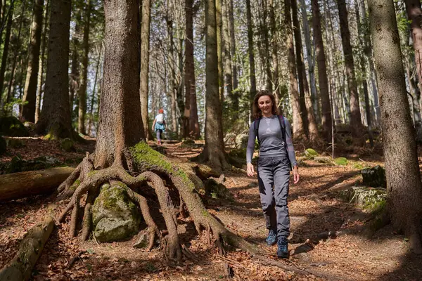Wandelaars Met Rugzakken Als Vrienden Wandelen Bergen Door Het Bos — Stockfoto