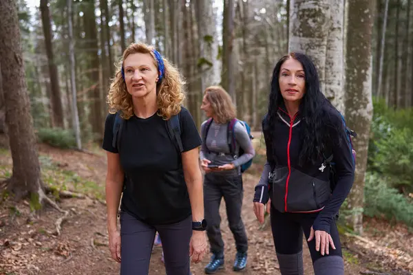 Vrouwelijke Wandelaars Als Vrienden Wandelen Bergen Door Het Bos — Stockfoto