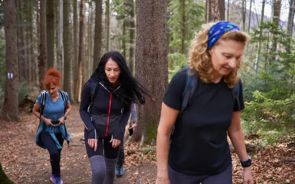 Female Hikers Friends Hiking Mountains Forest — Zdjęcie stockowe