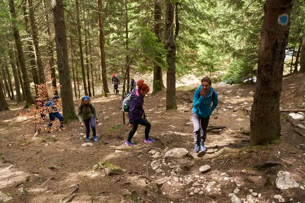 Vrouwelijke Wandelaars Met Rugzakken Het Bergwoud — Stockfoto