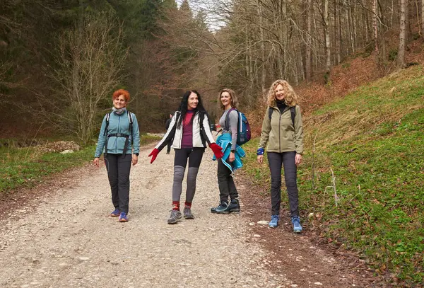Vrouwelijke Wandelaars Met Rugzakken Als Vrienden Wandelen Bergen Door Het Stockafbeelding